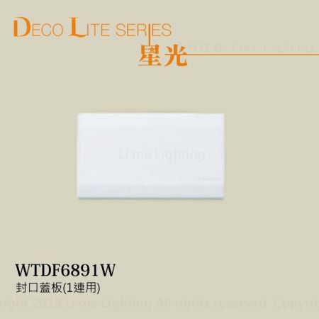 WTDF6891W 國際牌 Panasonic 星光系列  封口蓋板(1連用)